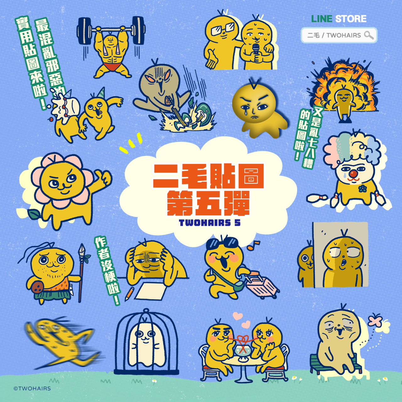 二毛