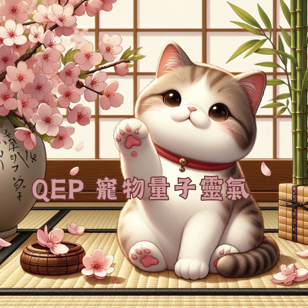 能量療癒師 馬婷 QEP寵物量子靈氣
