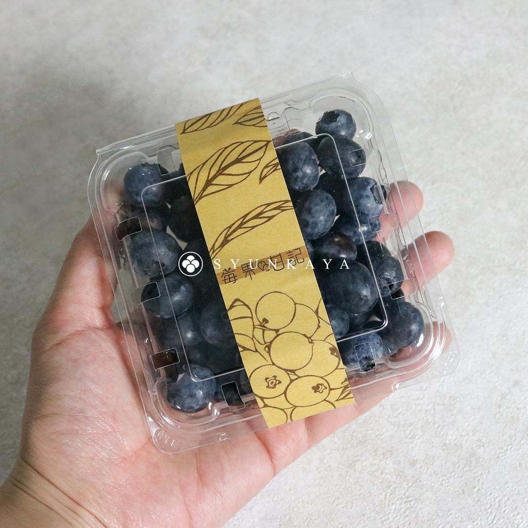 旬果屋 Syunkaya 有機轉型藍莓 台灣藍莓 山丘藍