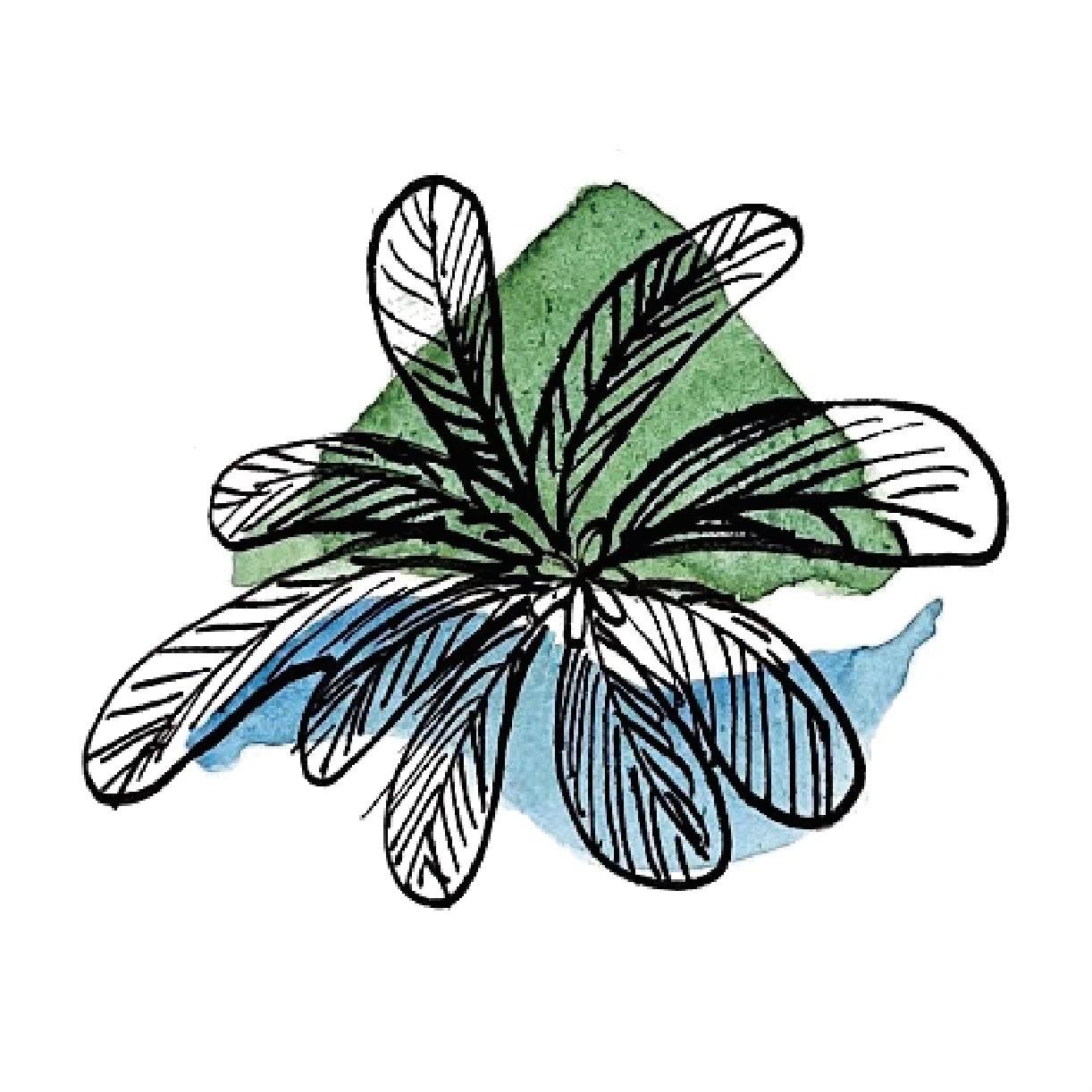 草海桐海景民宿