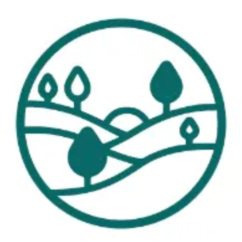 桃山神木｜撞到月亮的樹