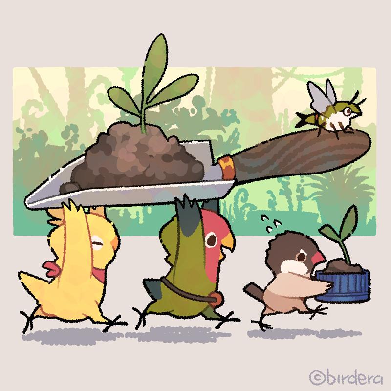 【 BIRD ERA 鳥時代 】