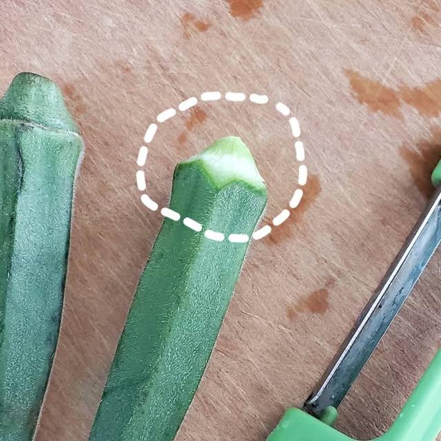 🇭🇰Jaycee暴龍媽@暴龍分享會