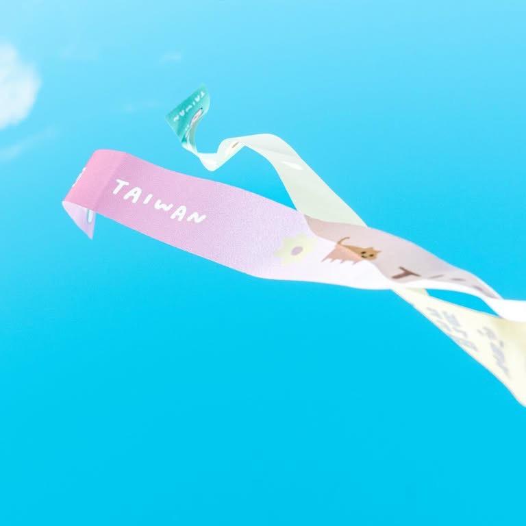 台派寶寶 Taiwan bb