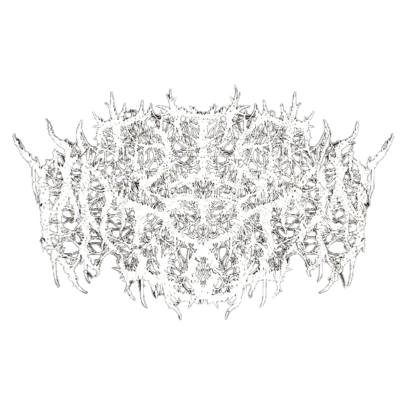 DiePression 是來自台灣的死亡核樂團，成立於 2019 年， 渴望透過死亡核風格，來表達對自由的追求與社會的關切，並期待藉由音樂作品來引發聽眾的共鳴，使音樂成為傳達自由意志與強烈訴求的藝術。