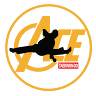 ACE Taekwon-Do Academy