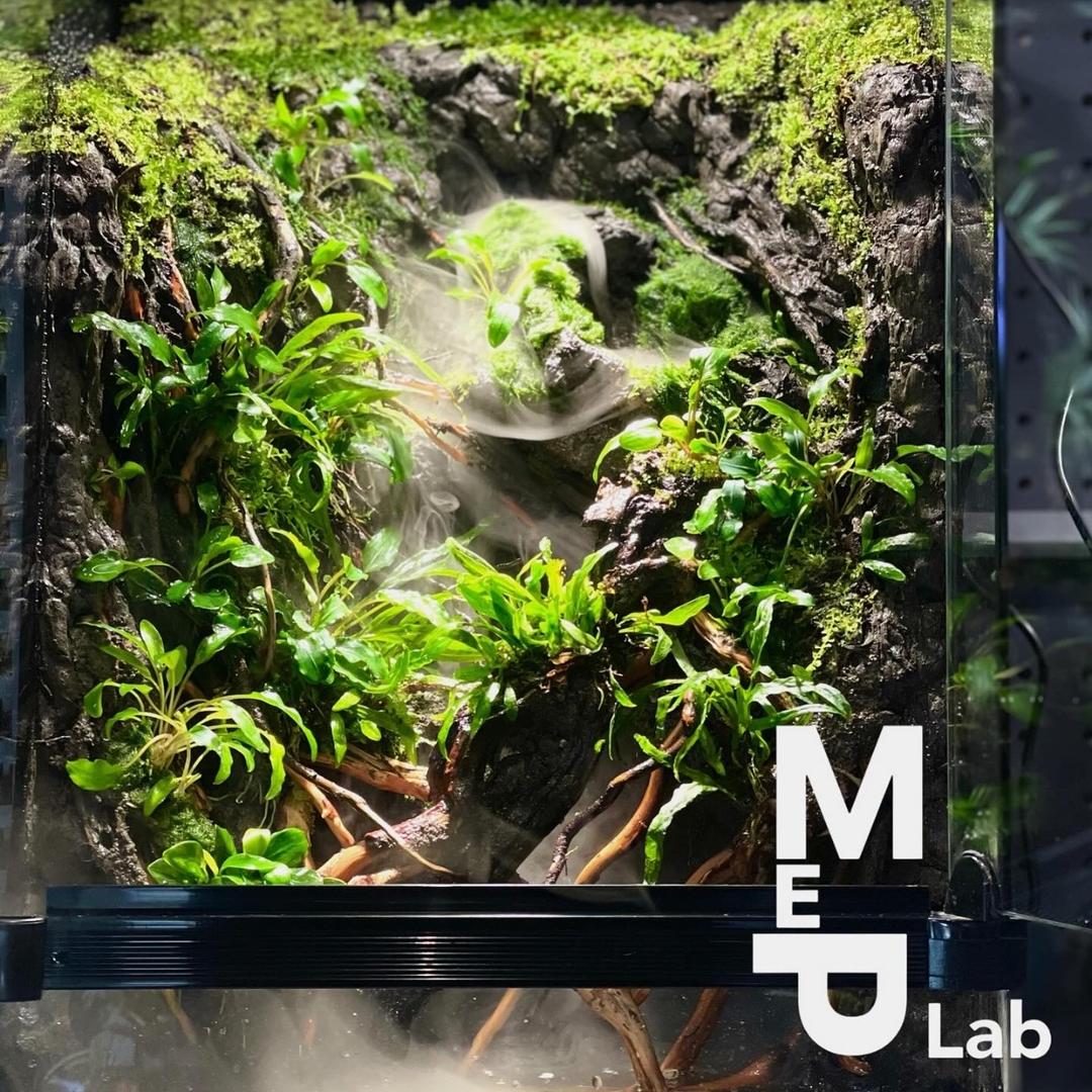 MeP Lab