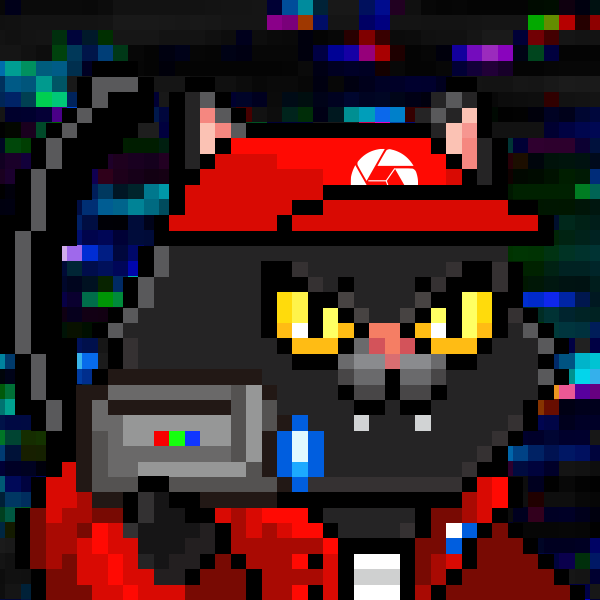 YOLO Cat Club 逆創影像 Reverse Studio