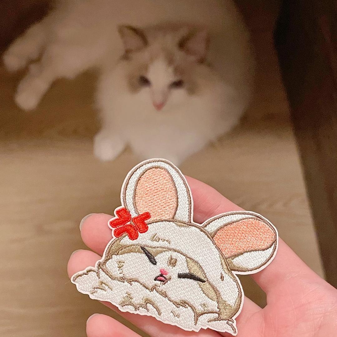 tsuitsui_ragdoll 周邊