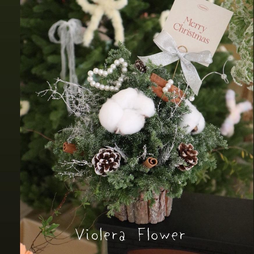 𝙑𝙄𝙊𝙇𝙀𝙍𝘼 𝙁𝙇𝙊𝙒𝙀𝙍