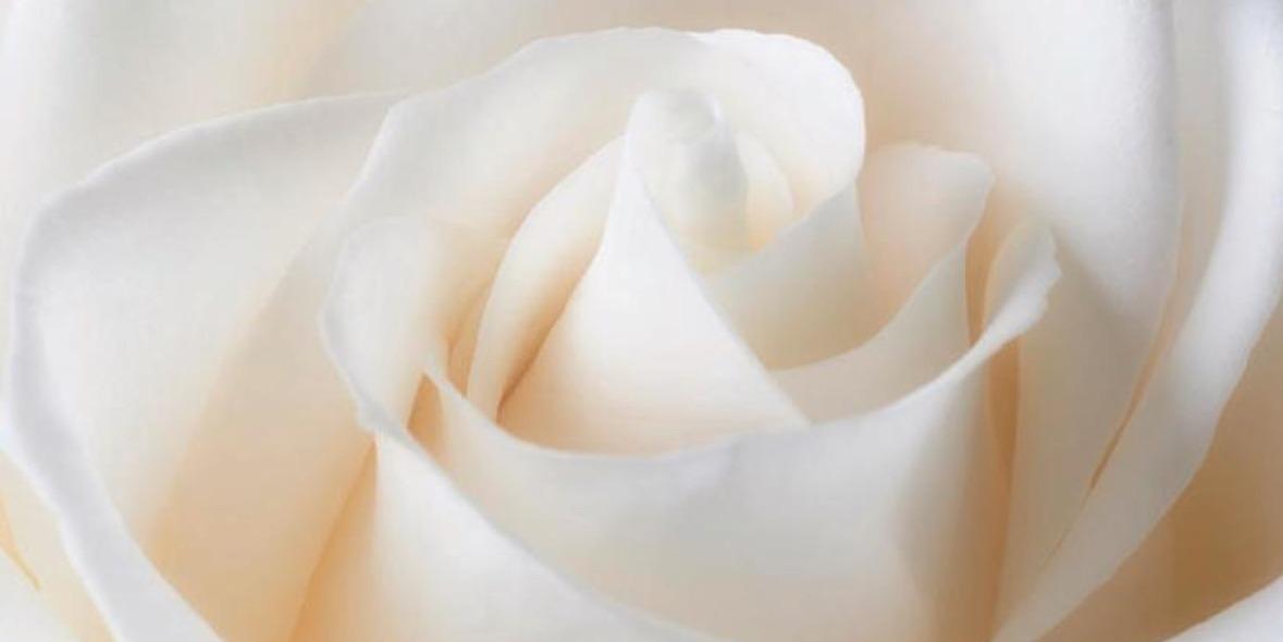 心靈願景落實教練 | 依淇 。。。個案回饋。。。