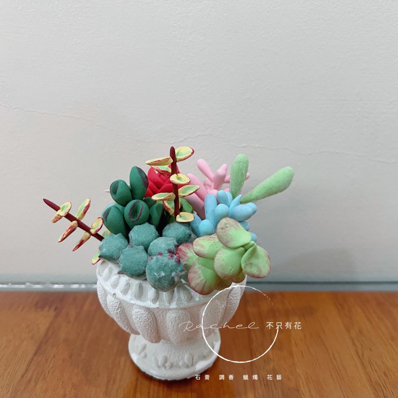 手作邀請、手作、體驗課、多肉植物、擴香