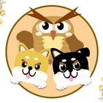 馥總手札x 外商BD修煉