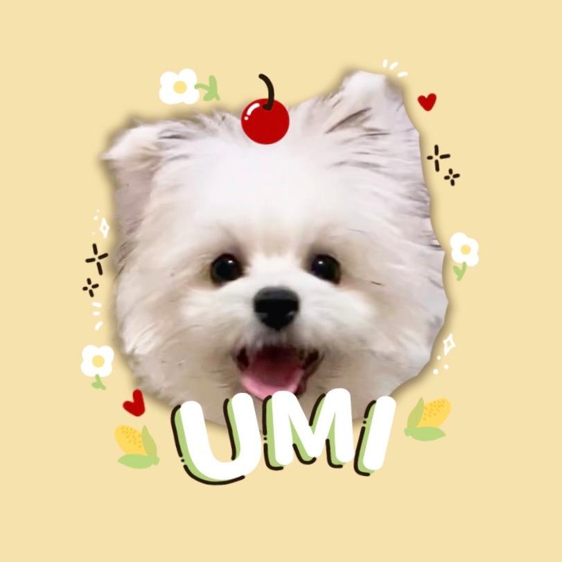 Umi 🌽 濃汪🥣࿐.˚