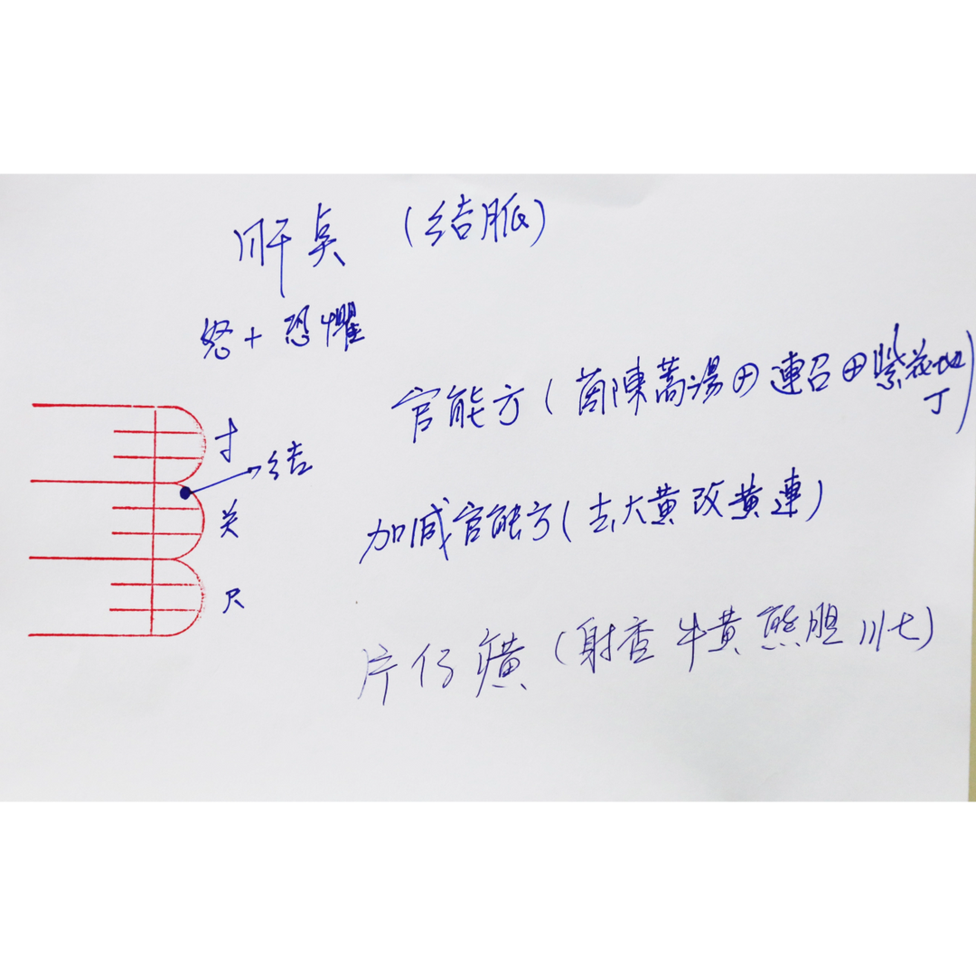 彭氏脈學