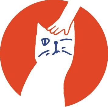 臺北市流浪貓保護協會 • 論壇首頁(公告)
