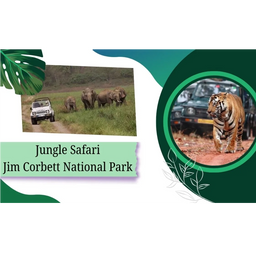 Jim Corbett Jungle Safari – All Details