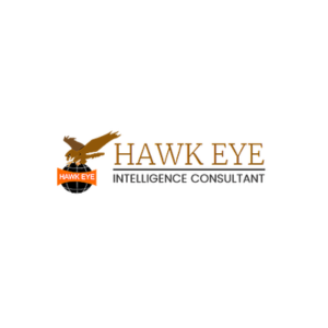 Hawkeye Detective Agency
