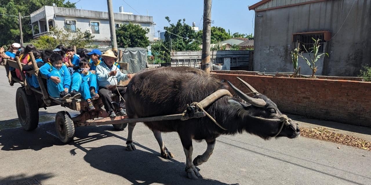 稻頂來 DaoDingLa