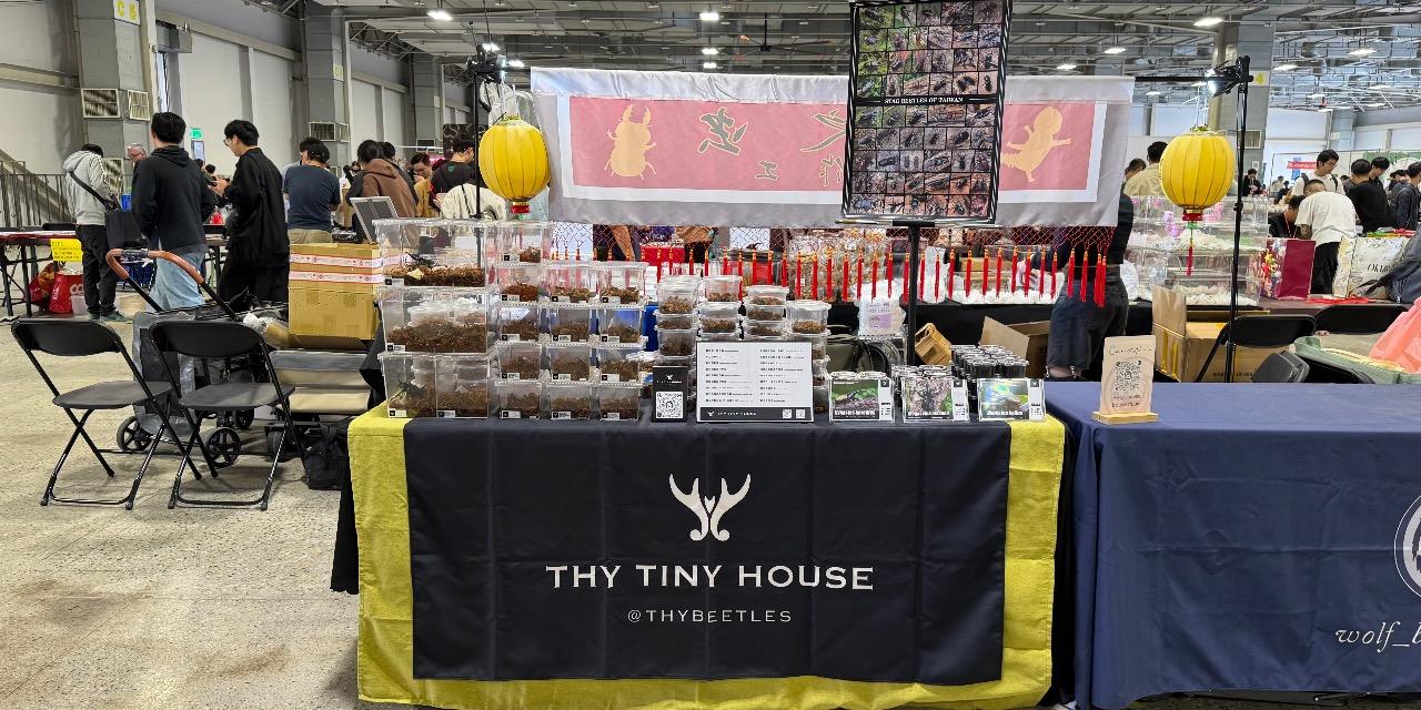 T.H.Y. TINY HOUSE 台灣國際昆蟲博覽會，THY TINY HOUSE，獨角仙老師