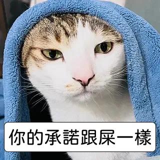 Line 貼圖 金派悉悉