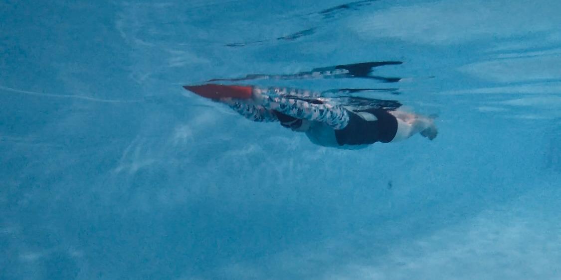 花蓮在地游泳工作室 | 小禾溪潛游泳學院 我的網站