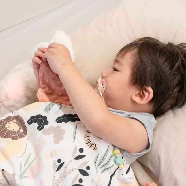 ----【詳細心得文】----  La Millou巧柔豆豆毯。豆豆兔。 小豬枕。天使枕。安撫巾