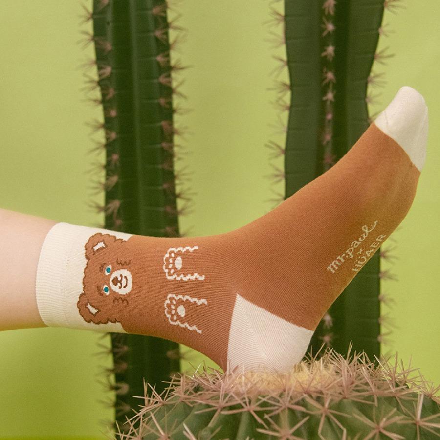 🧦繪襪家EXPO聯名襪 : 寶雅全台販售門市一覽🏪