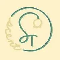 666號食品罐頭 森特-Scent