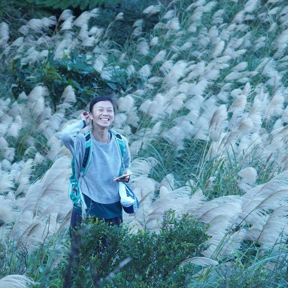 鹿徑晴朗・All the Wandering Lights