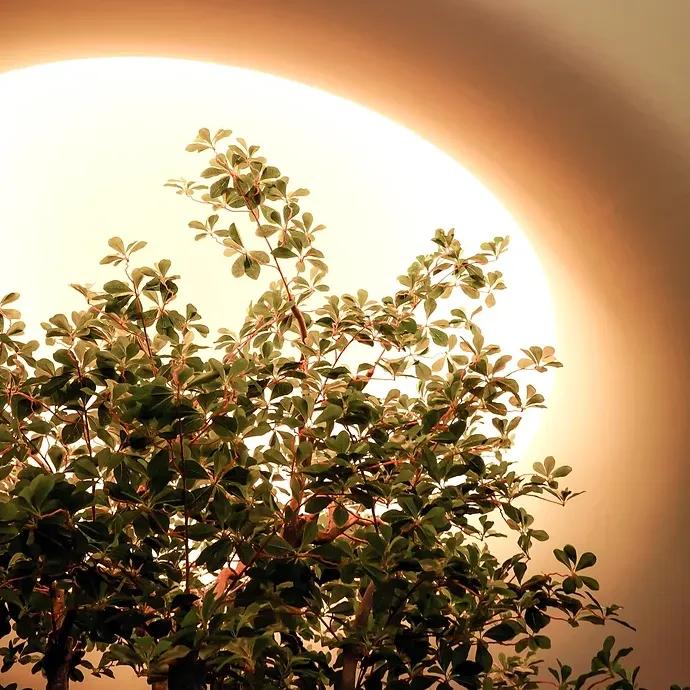 C.F.B Bistro善化餐酒館 南科餐酒館 精釀啤酒