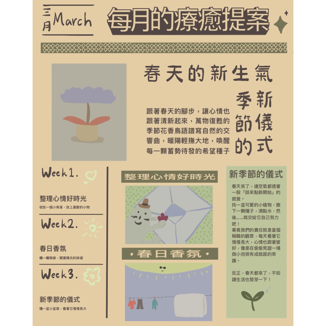 苗雨 自媒體資訊封面