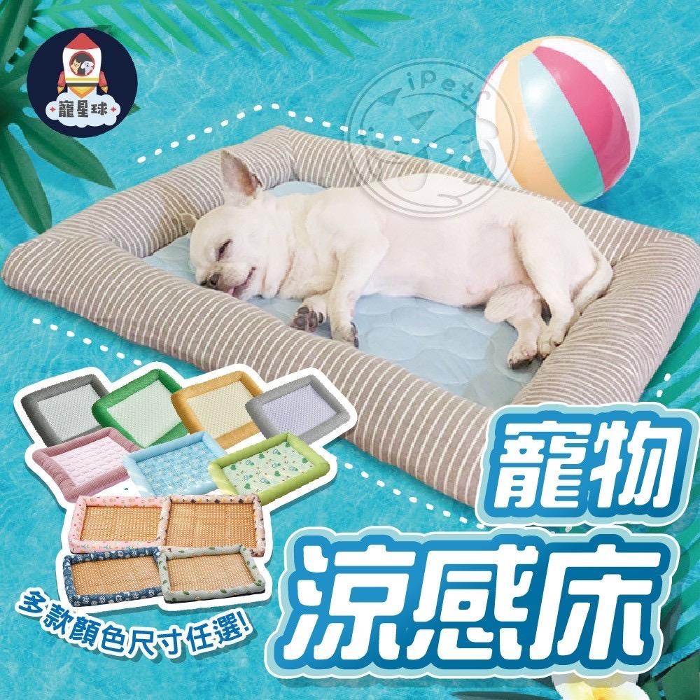 Bigorange 天氣變熱，怕主子熱壞又不想冷氣開整天？寵物專屬涼感床，物理降溫超有感！多款顏色尺寸任選，大狗小貓都能爽爽睡，替你省下夏天的驚人電費！