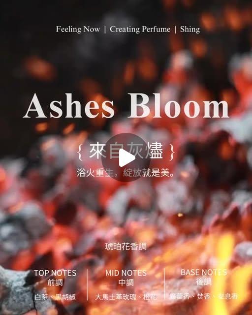 Feeling Now 店香｜來自灰燼