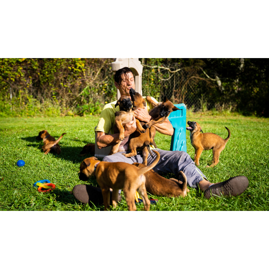 狗狗訓練師 訓犬師 寵物訓練師