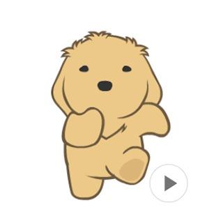 LINE 貼圖 & 表情貼