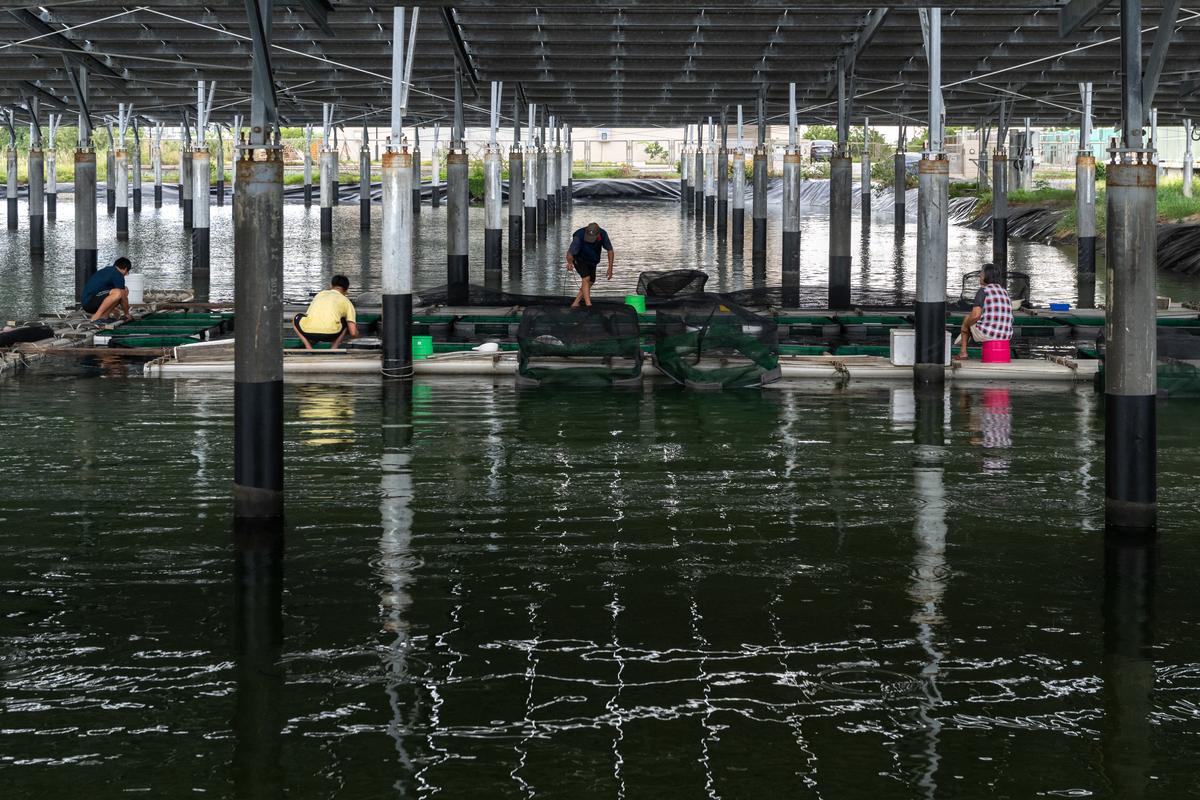 報導者 The Reporter