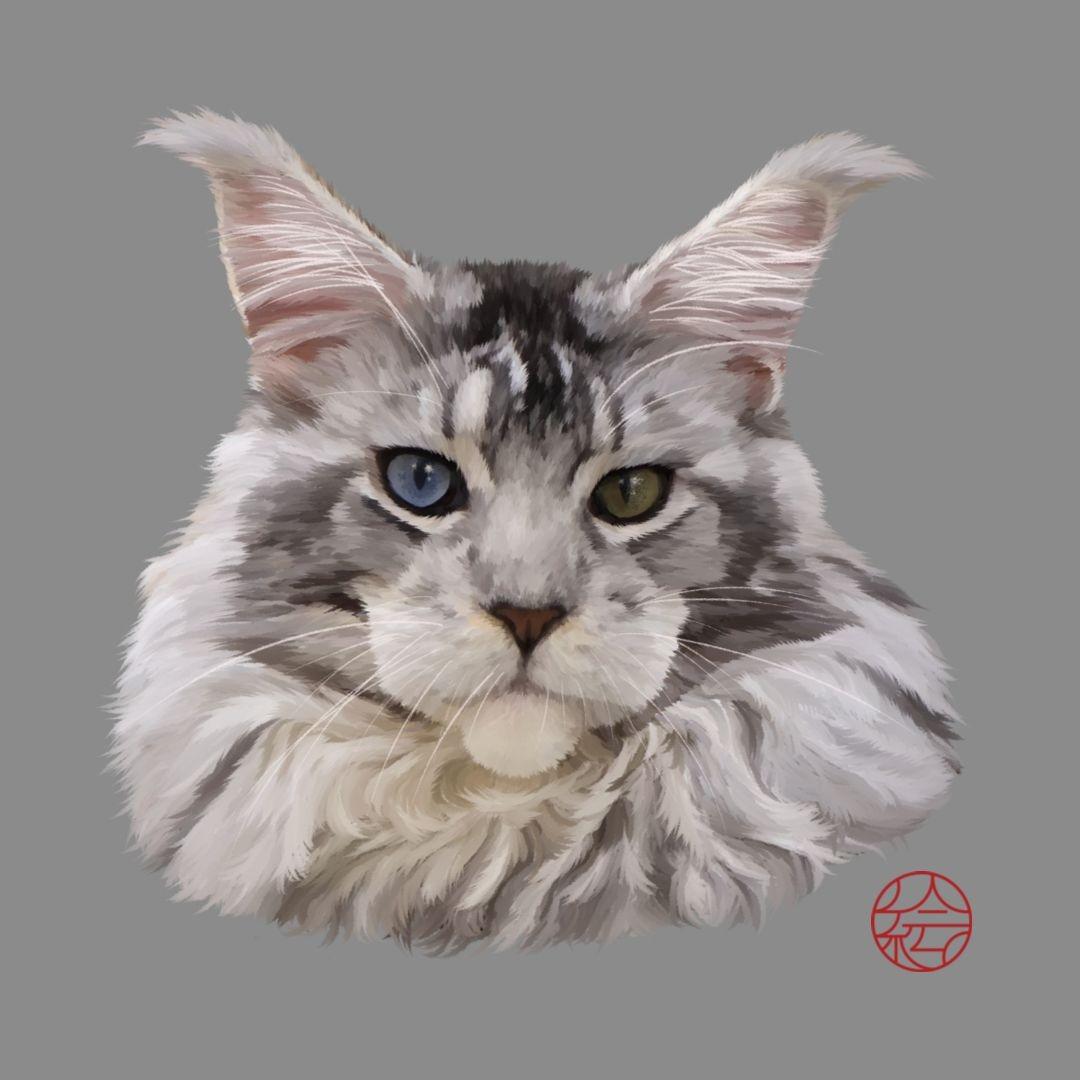 Studio Kui 絵 專業寵物絵圖