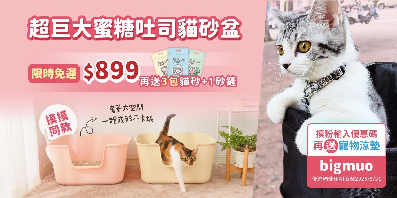 摸摸