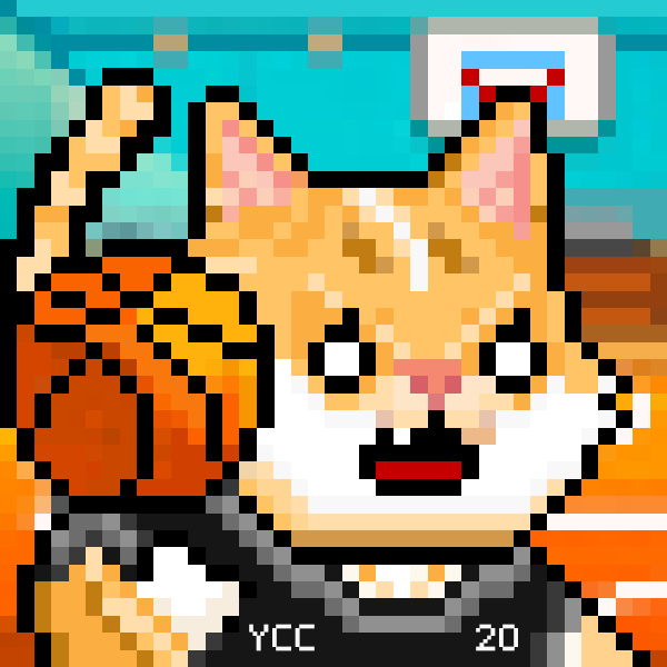 YOLO Cat Club WABO 籃球風
