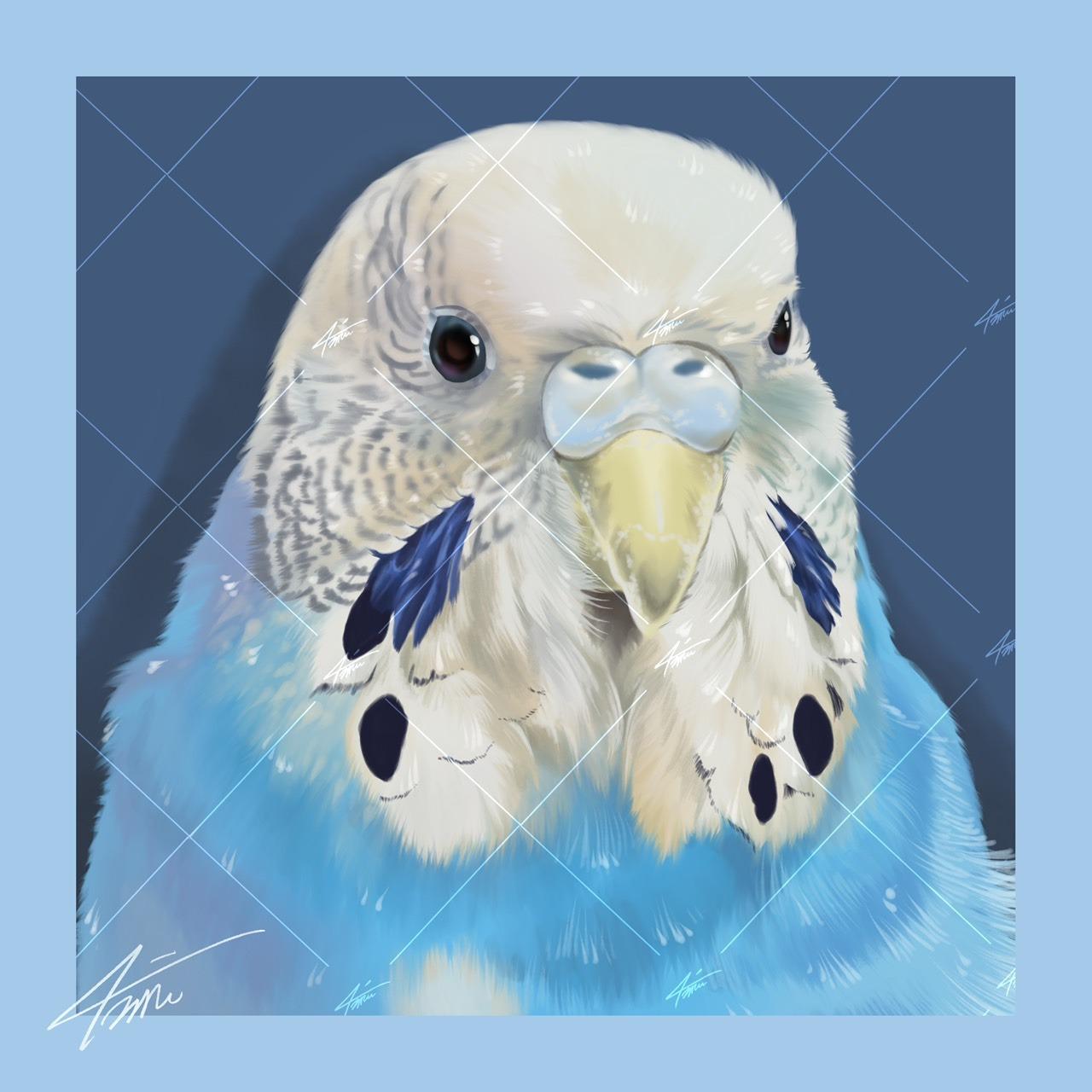 戴圍兜兜的貓 מּ ≋𝒞𝓵𝓪𝓾𝓭𝓲𝓪 𝓛𝓲𝓷 ৲ 4𝓶𝓾 ≋ 5000×5000，300dpi，jpg，RGB