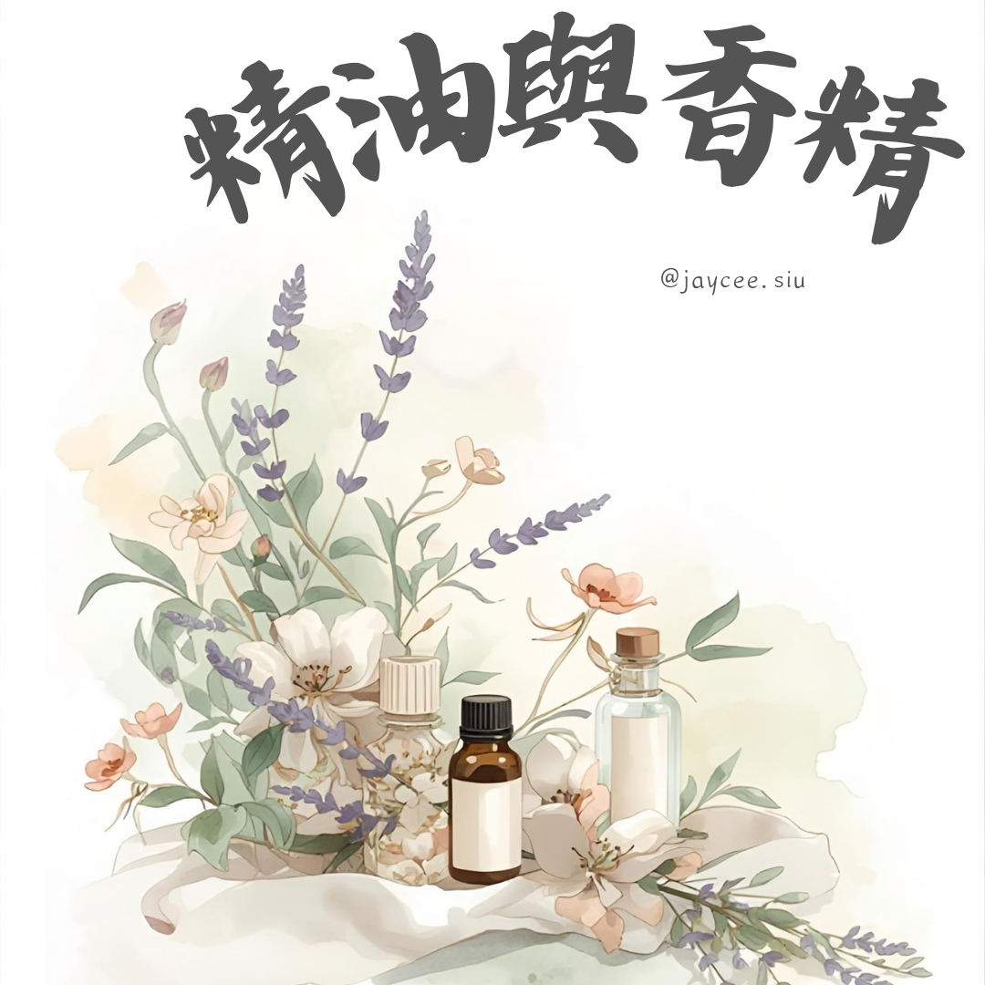 🇭🇰暴龍媽Jaycee|暴龍分享會