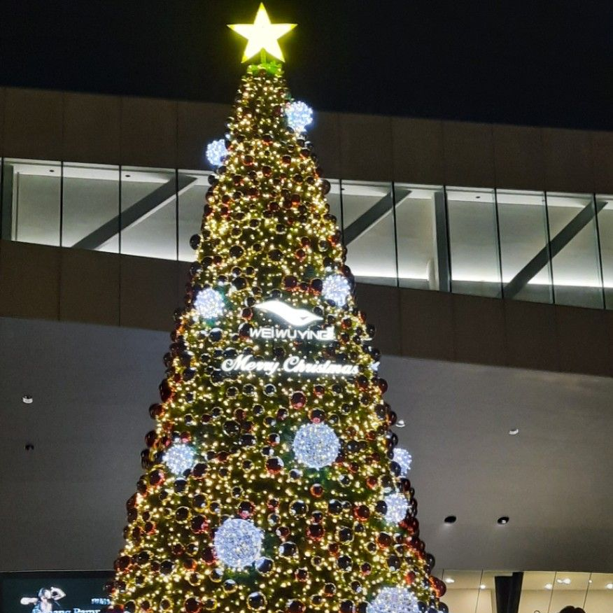 昶守嘉 《12/26》