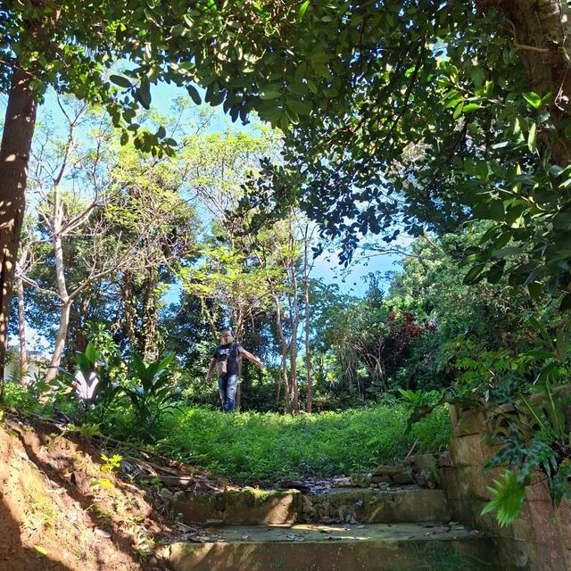 沖繩置產.攻略組-門索雷地產報