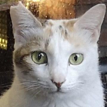 生活‧簡居‧生活