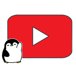 www.youtube.com