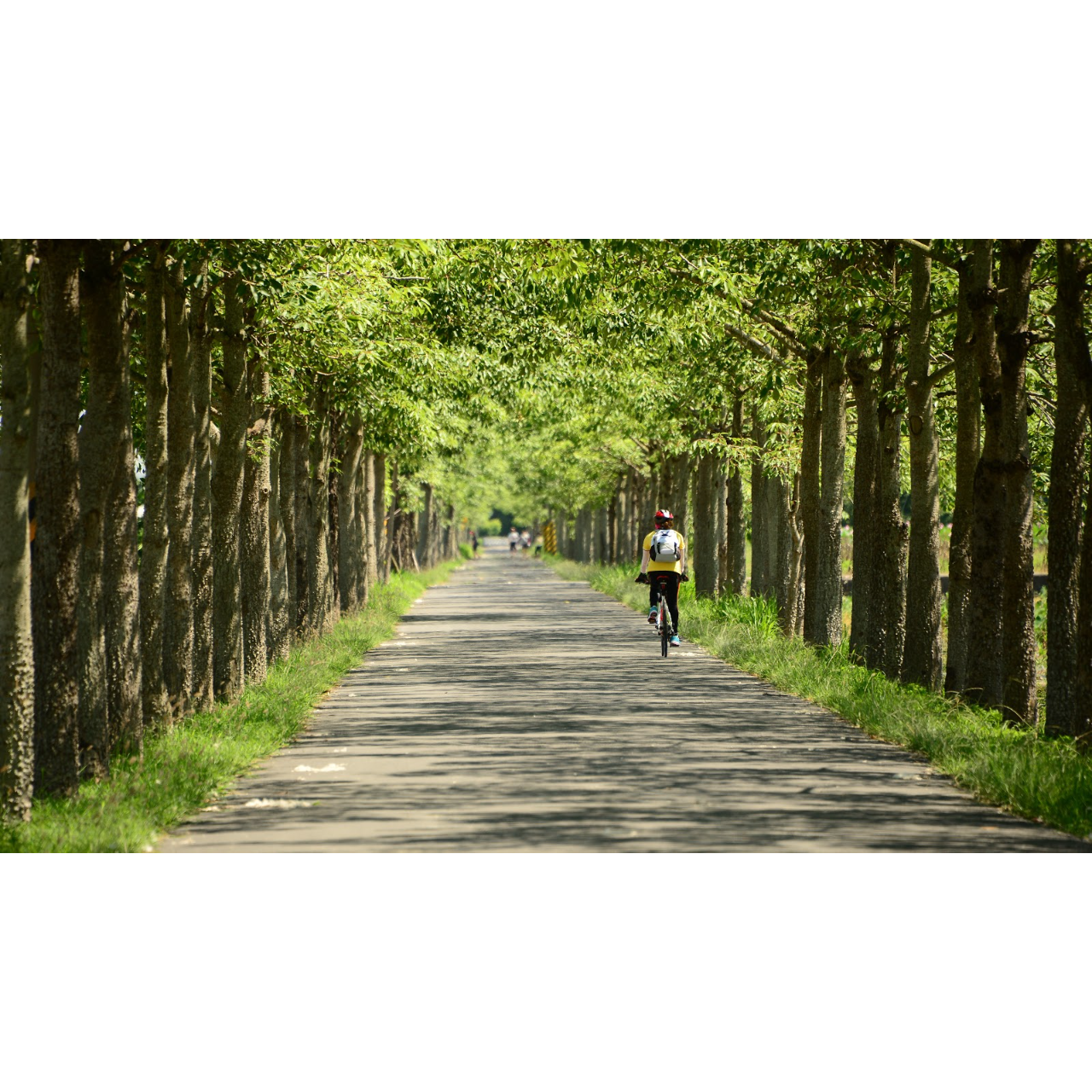 生活‧簡居‧生活