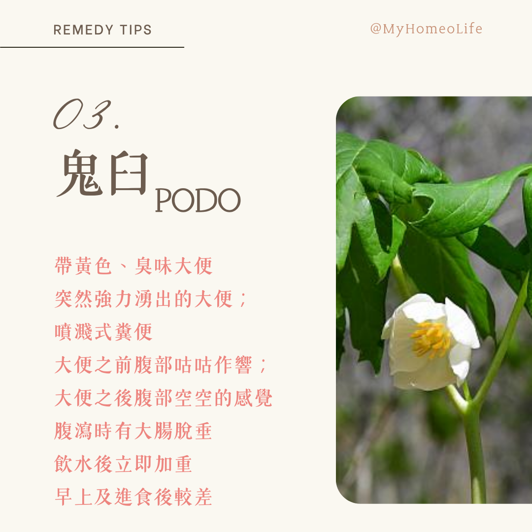 順勢療法鬼臼PODO腸胃炎療劑應用