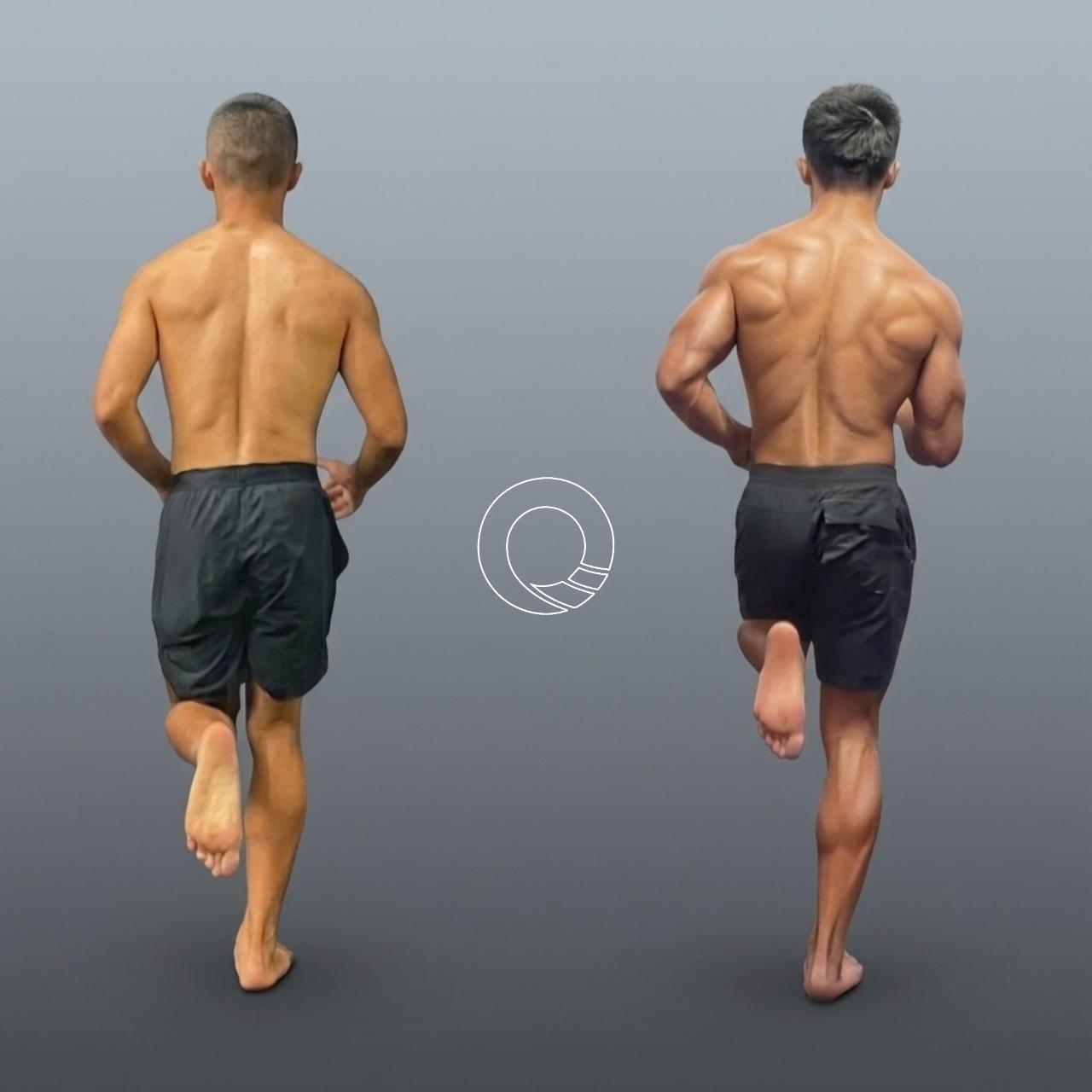 凝聚運動顧問｜結構與功能｜身體恢復中心 從身體結構看力量傳遞