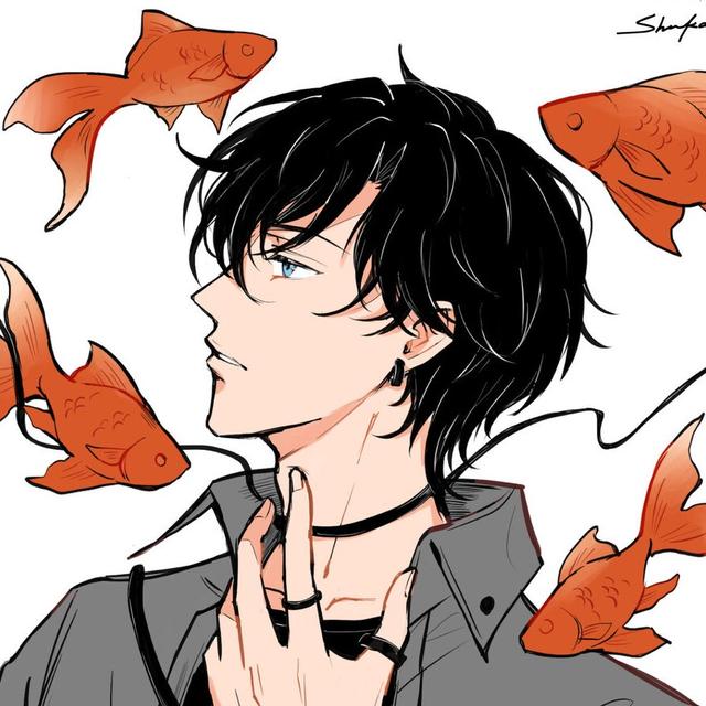 杉佧 𝑆ℎ𝑎𝑛𝑘𝑎 ▸▸▸